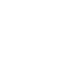 Baltic Dragons Logo