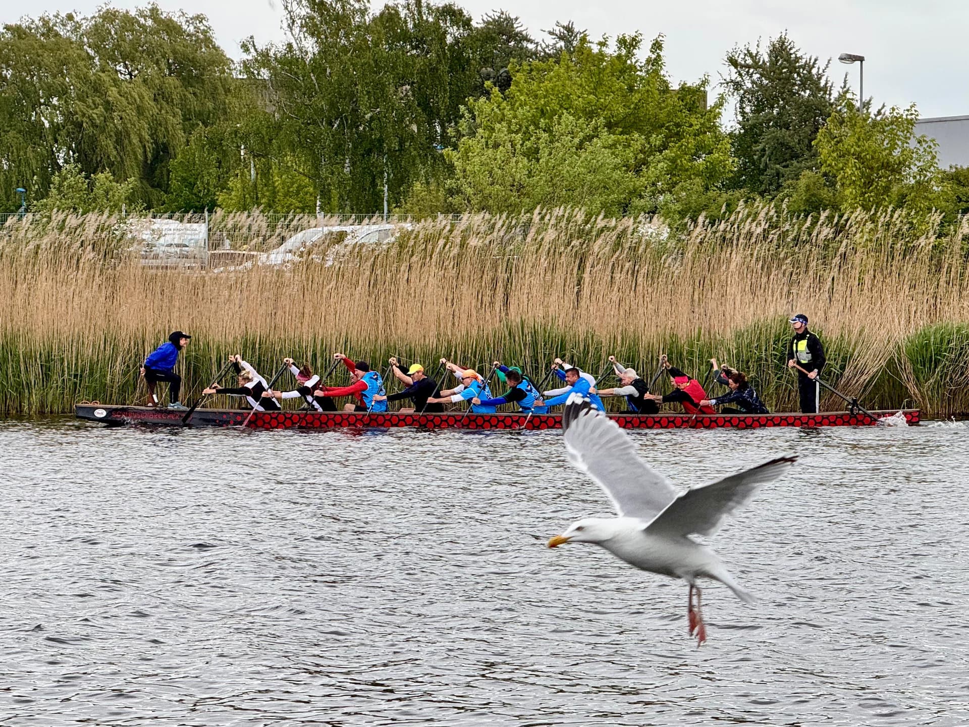 Trainingslager 10./11.05.2025 in Rostock